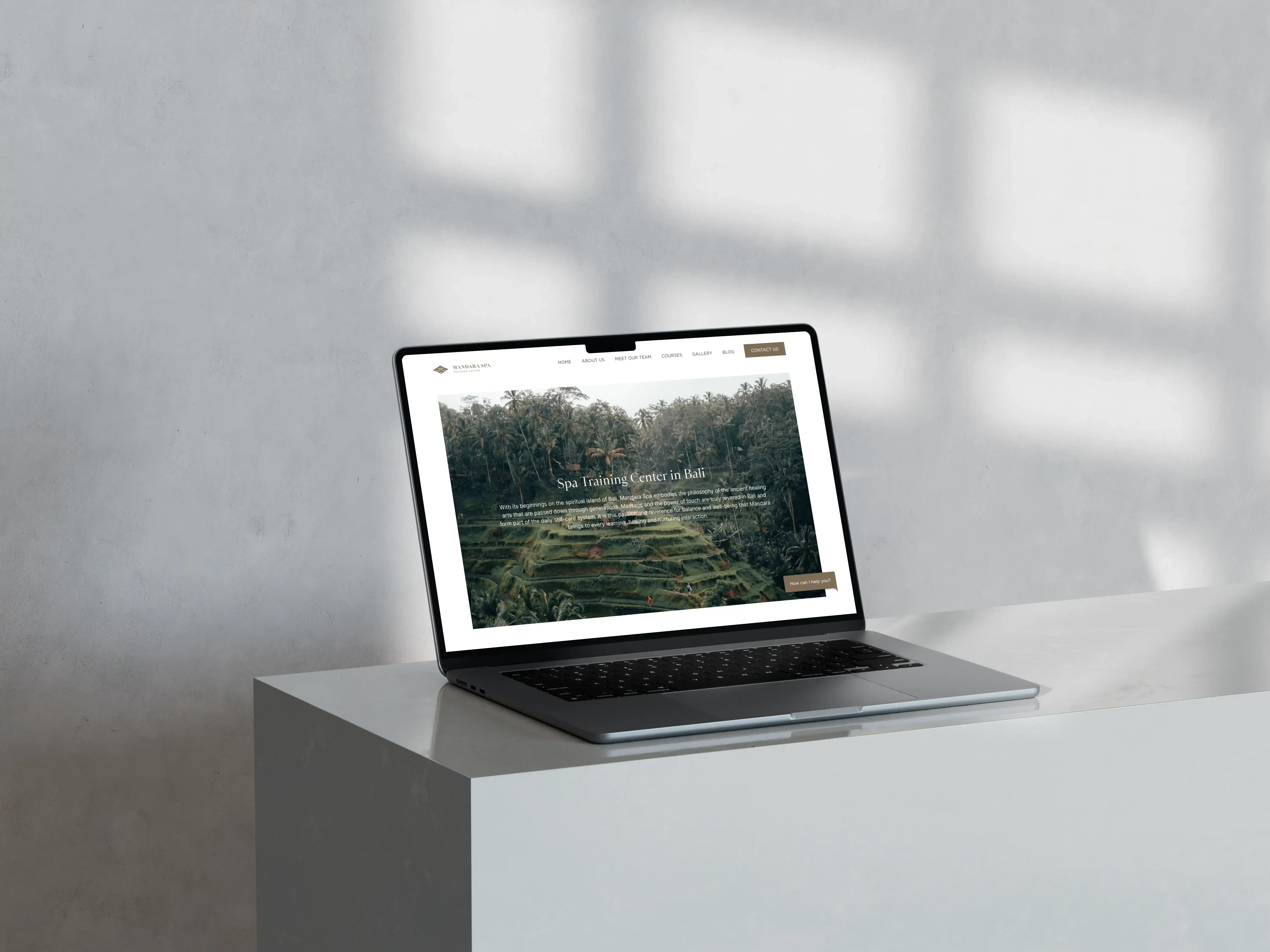 Web Design & Development